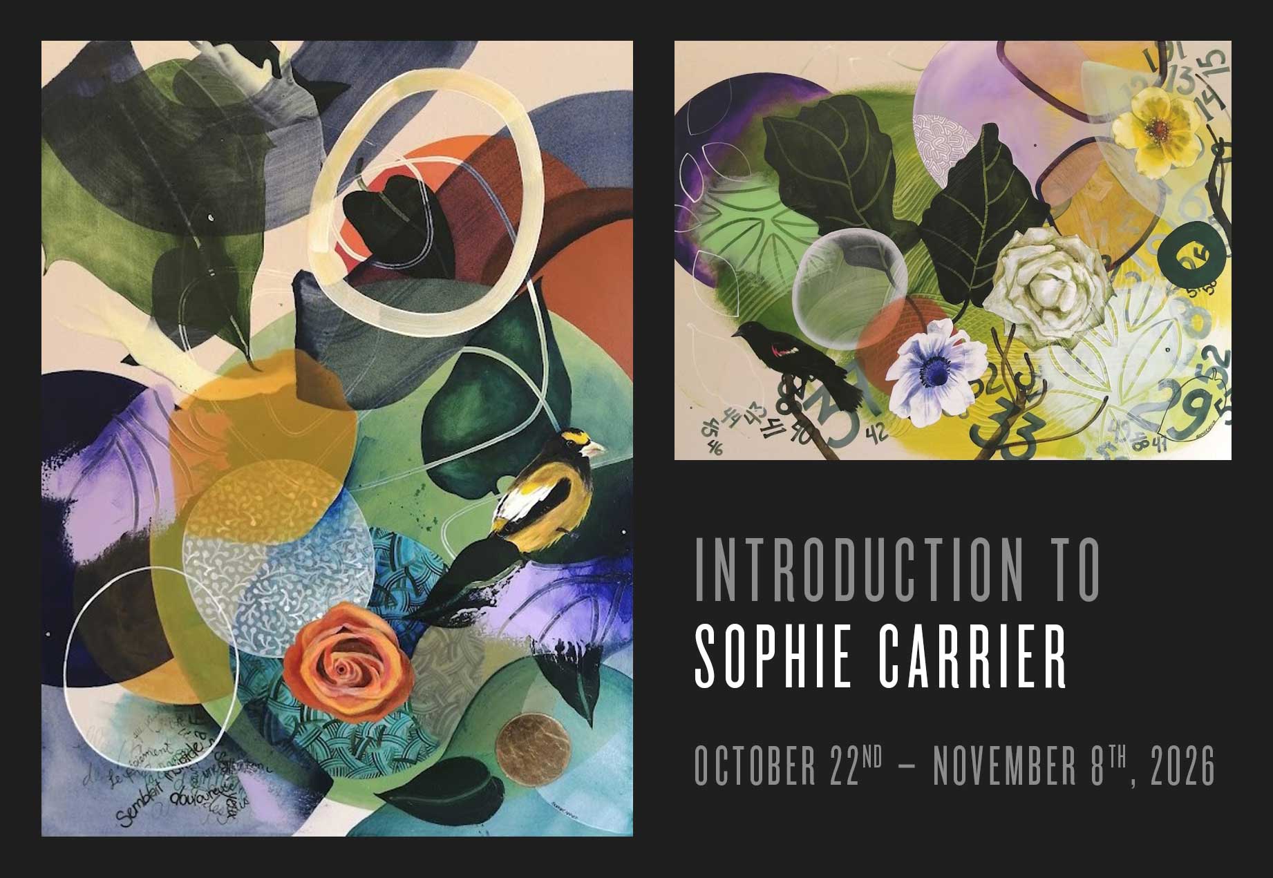INTRODUCTION TO SOPHIE CARRIER – OCT. 22ND – NOV. 8TH