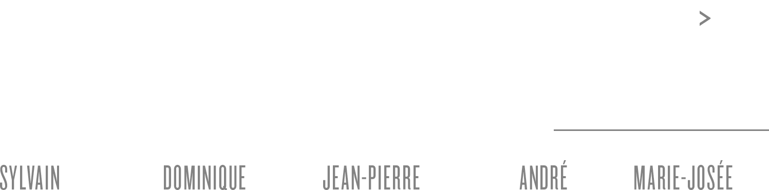 RESURGENCE - Sylvain Coulombe, Dominique Fortin, Jean-Pierre Lafrance, André Pitre, Marie-Josée Roy - October 20 – November 13, 2022